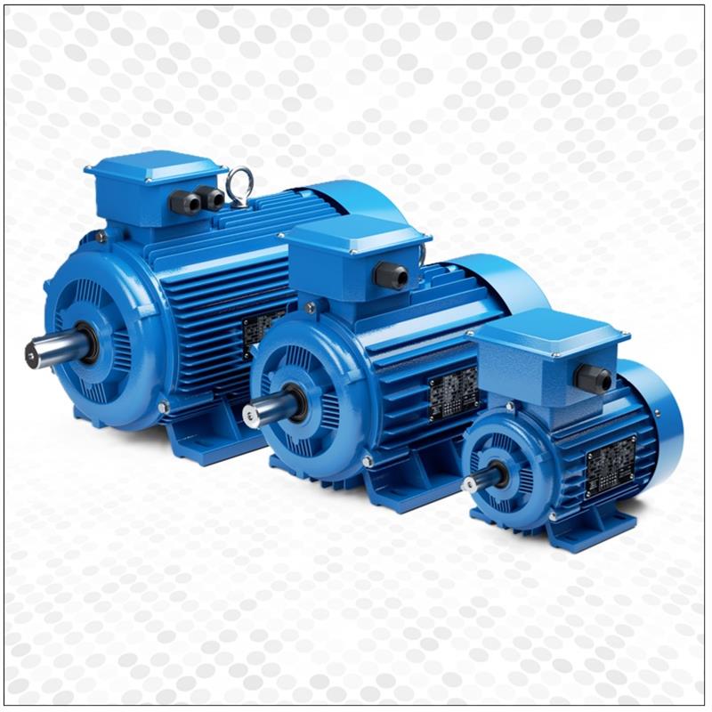 IE4 Induction Motors