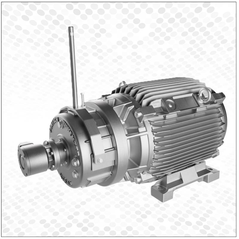 Crane & Hoist Duty Motors