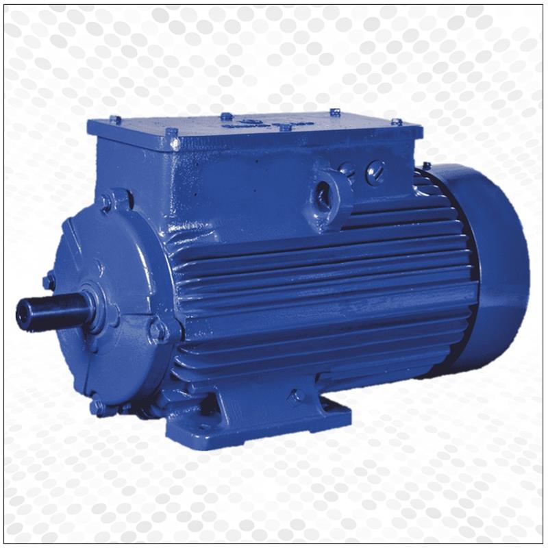 Slipring Motors